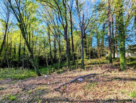 218 Sequoia Place Charlotte NC 28217