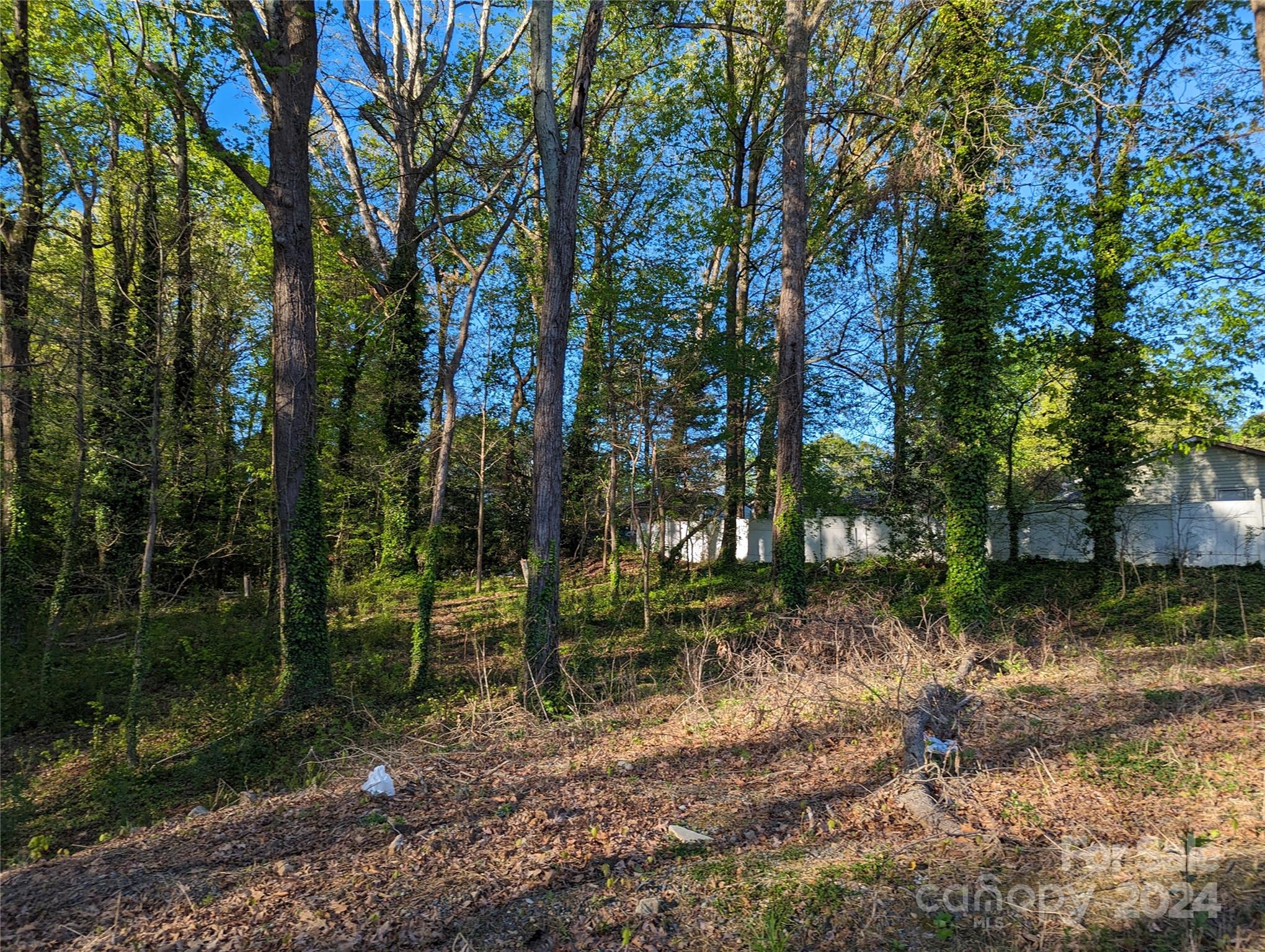 218 Sequoia Place Charlotte NC 28217