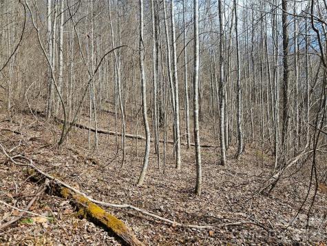 0 Woodfin Road Sylva NC 28779