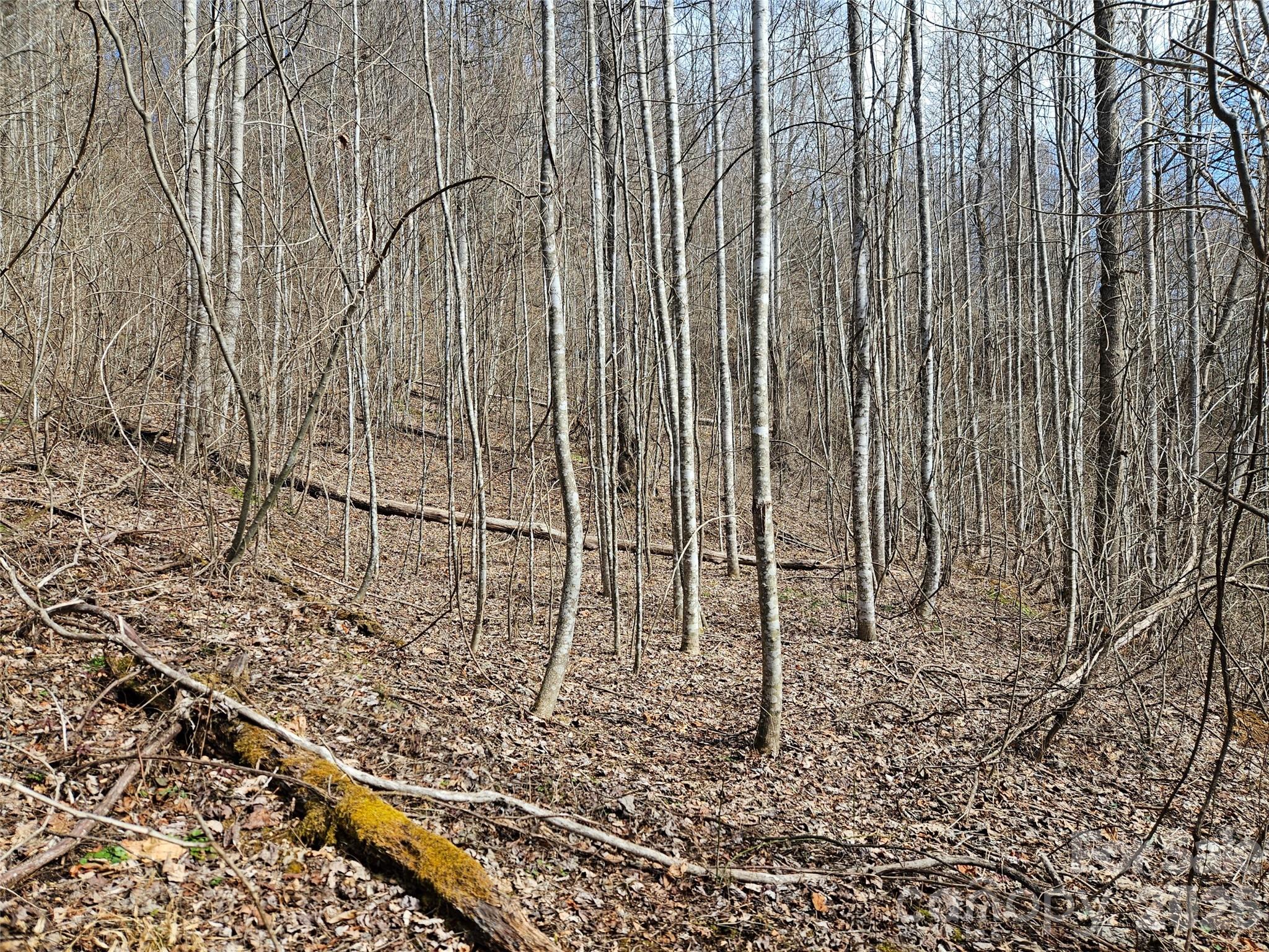 0 Woodfin Road Sylva NC 28779