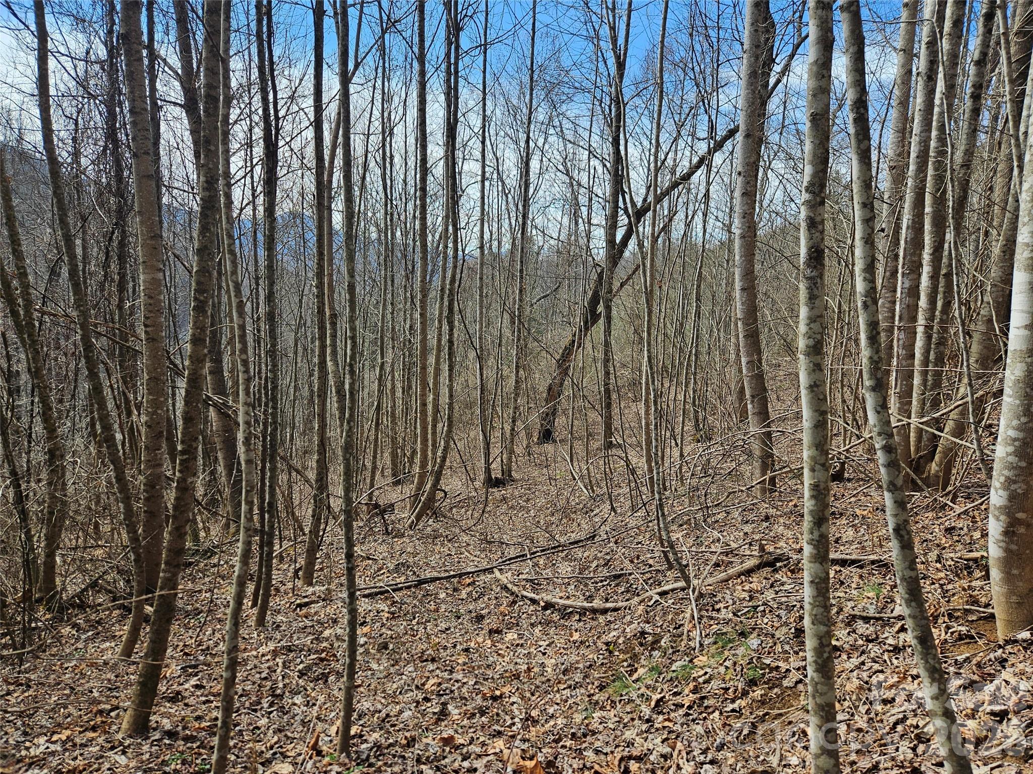 0 Woodfin Road Sylva NC 28779