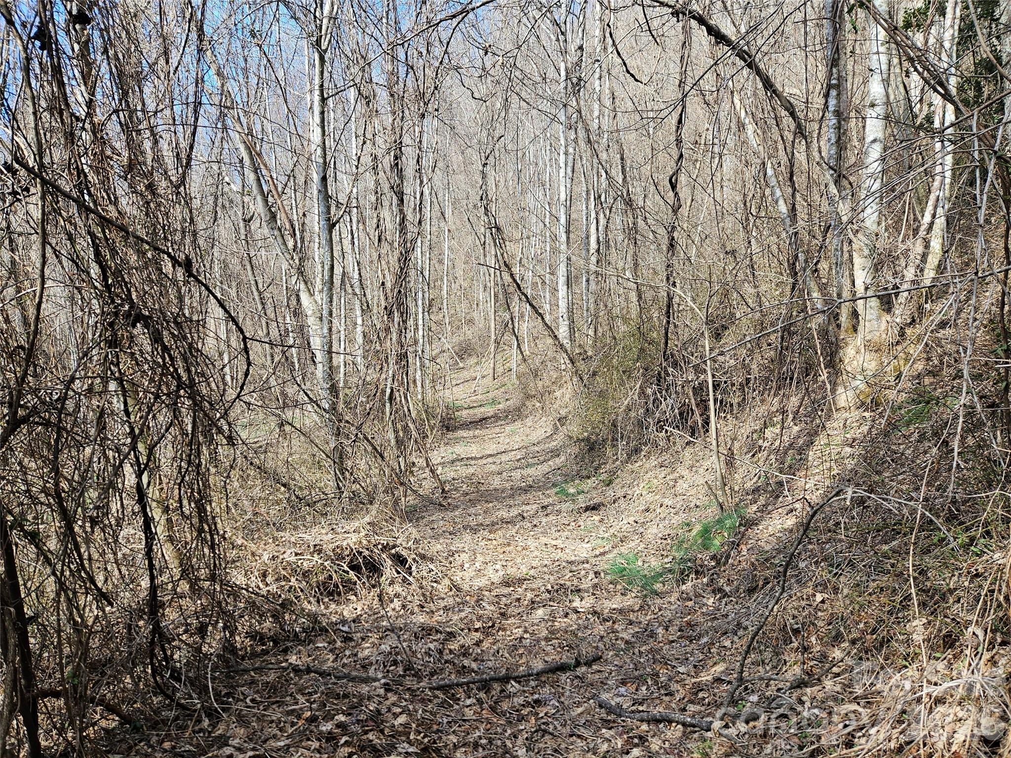 0 Woodfin Road Sylva NC 28779