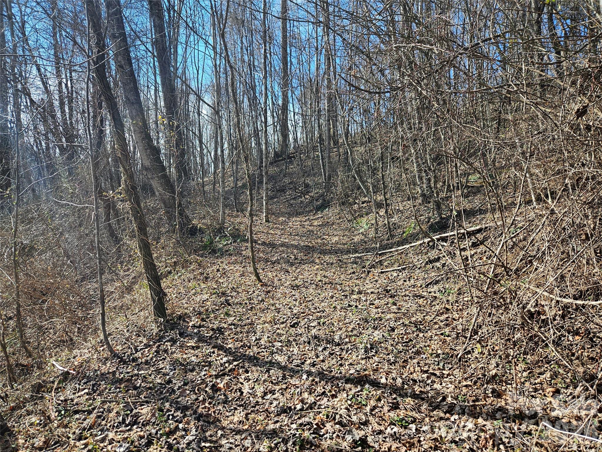 0 Woodfin Road Sylva NC 28779