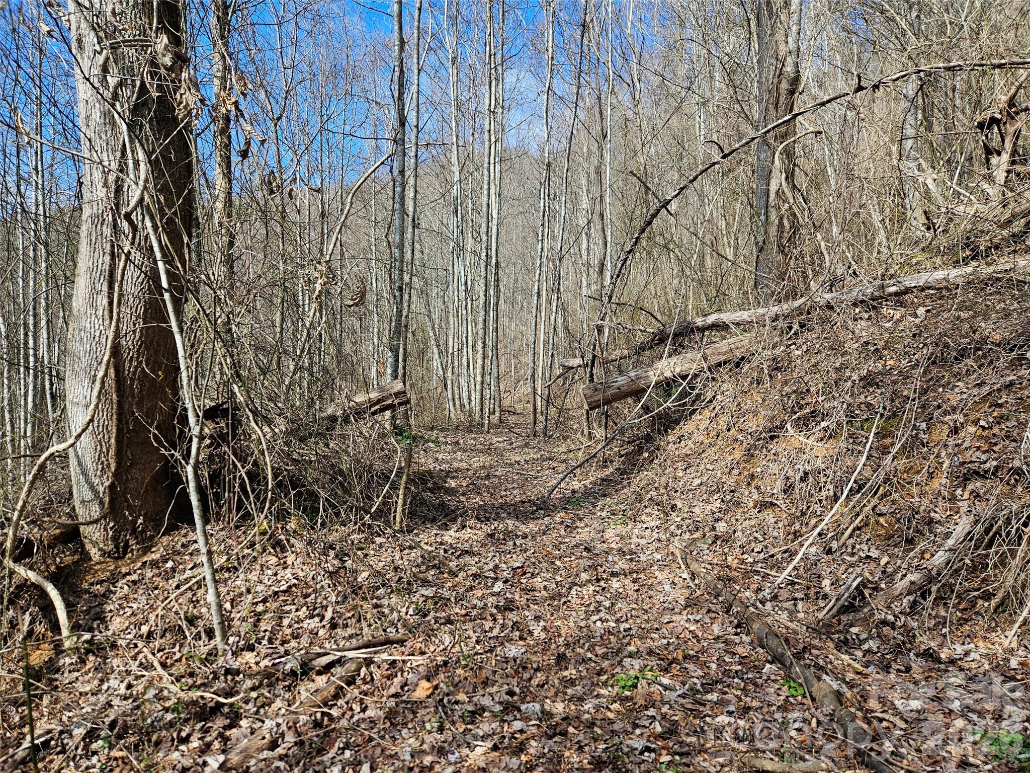 0 Woodfin Road Sylva NC 28779