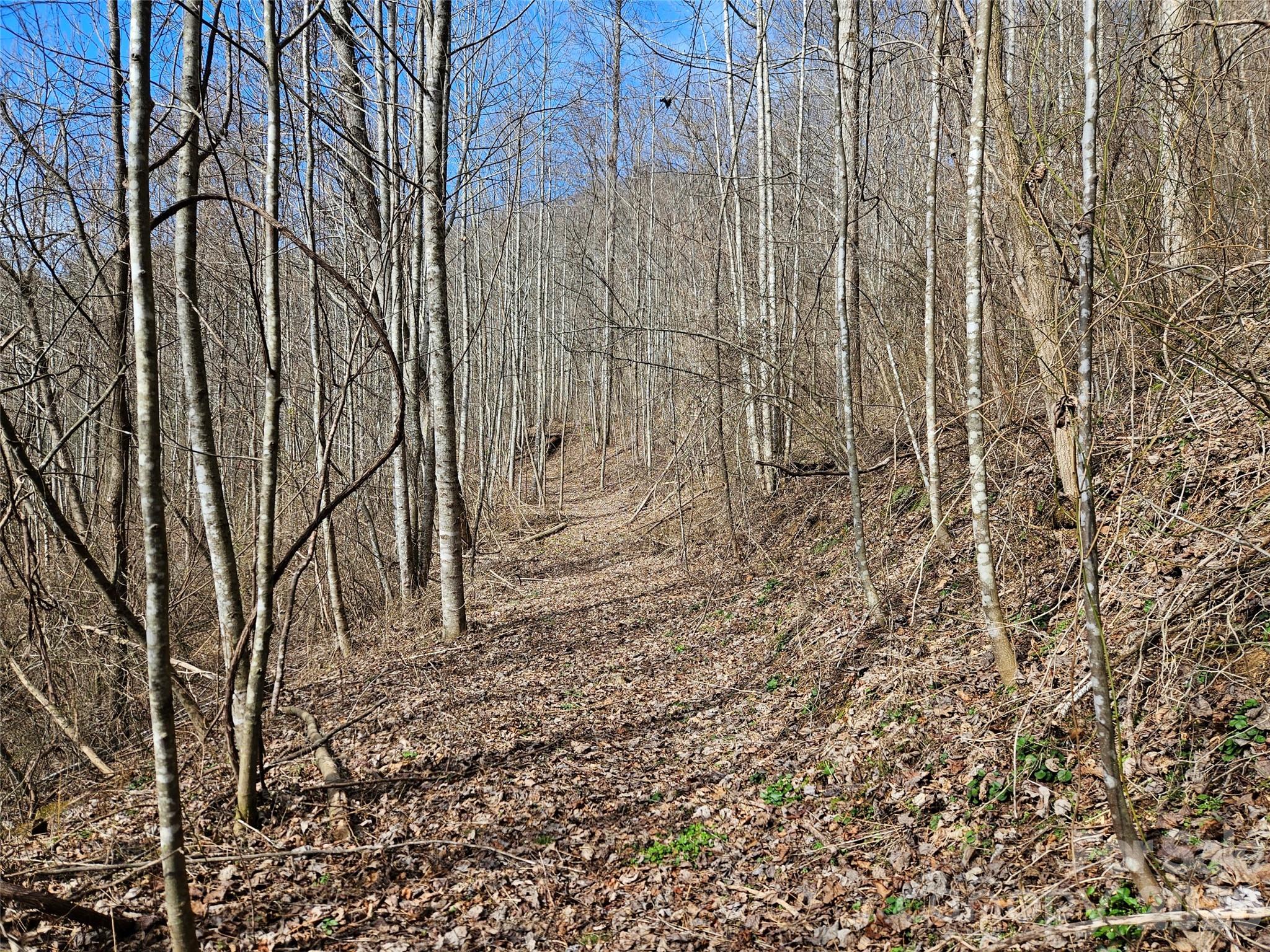 0 Woodfin Road Sylva NC 28779
