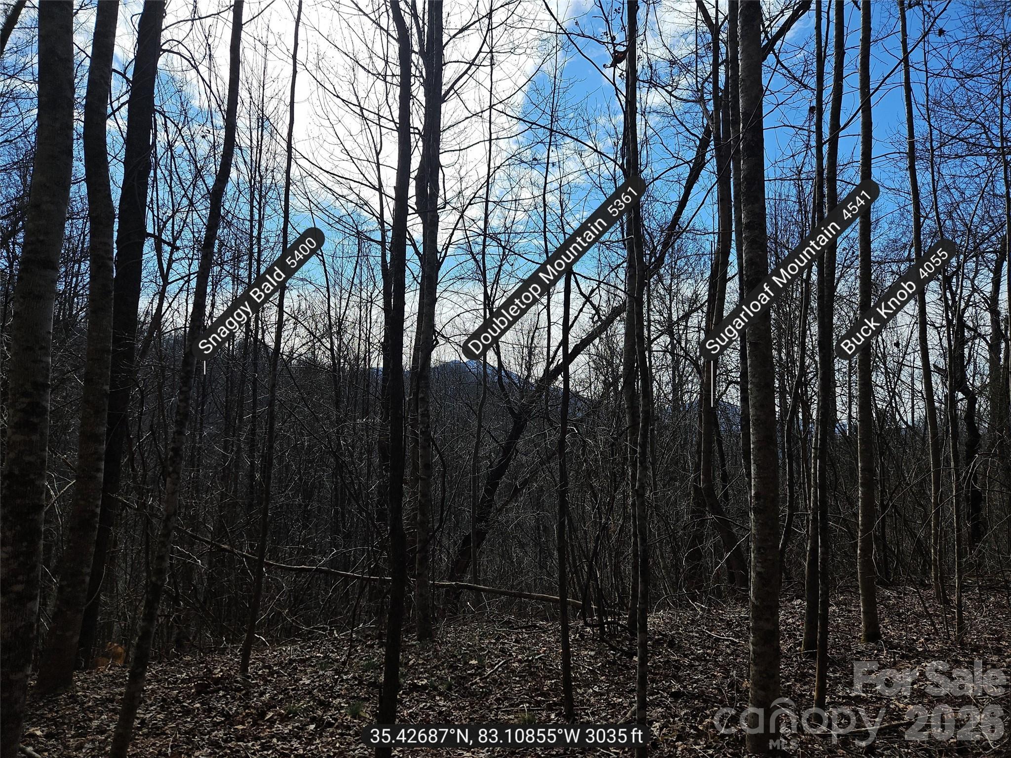 0 Woodfin Road Sylva NC 28779
