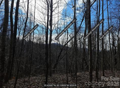 0 Woodfin Road Sylva NC 28779