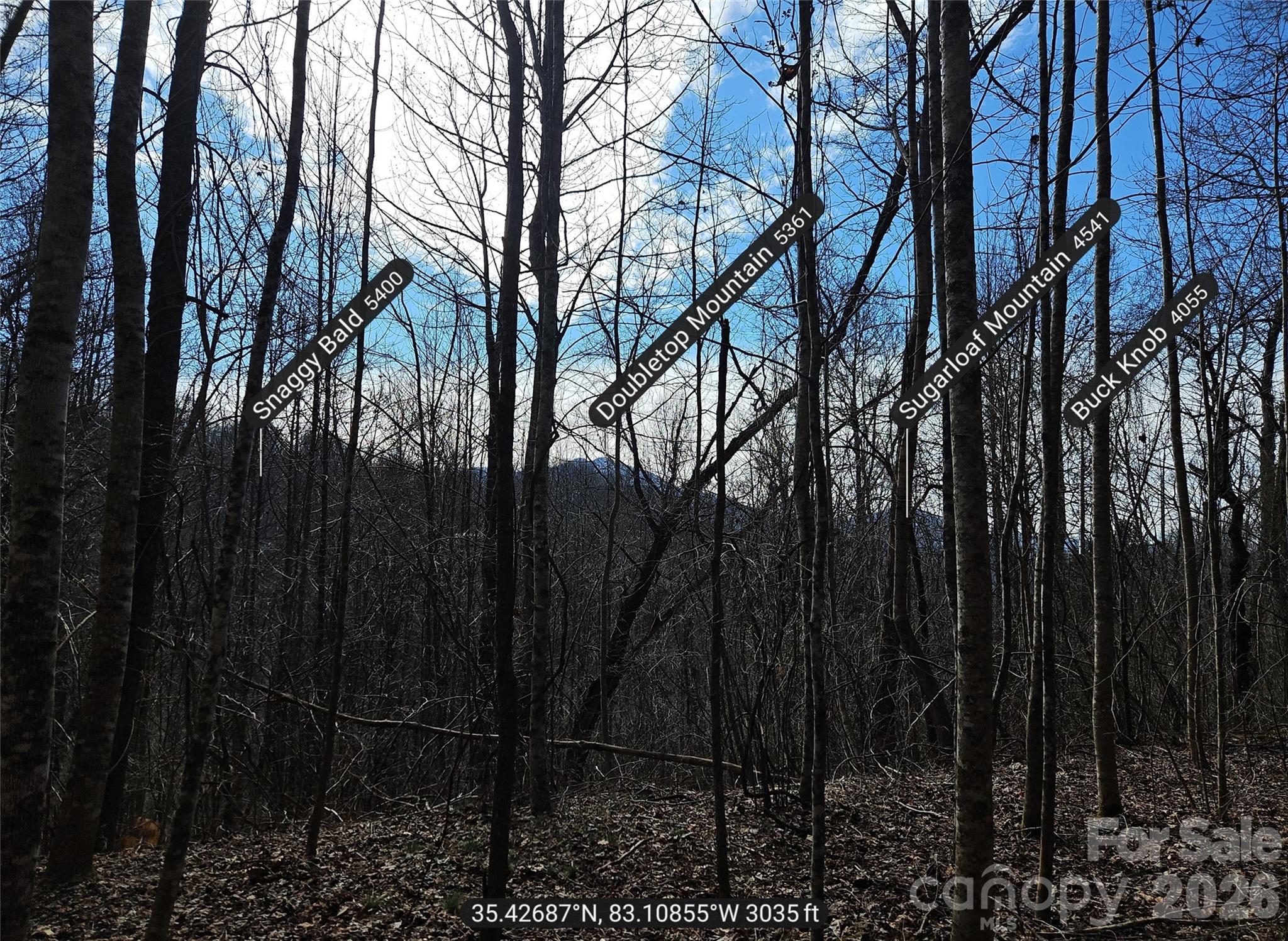 0 Woodfin Road Sylva NC 28779