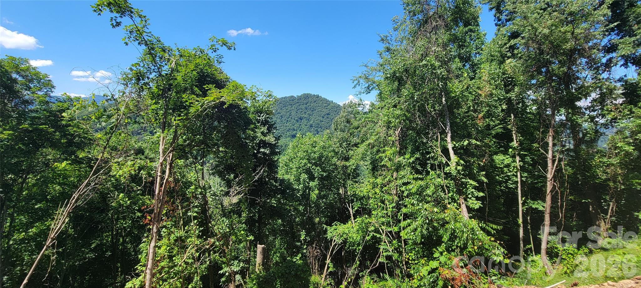 35 Destination Drive Waynesville NC 28786