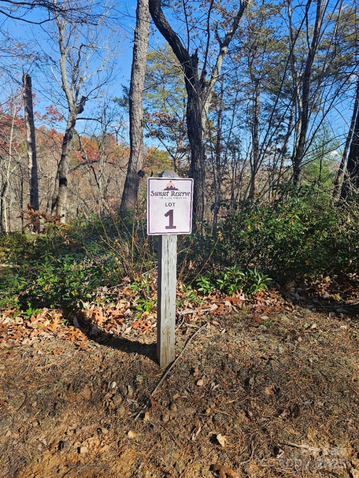 0 Lure Ridge Drive Lake Lure NC 28746