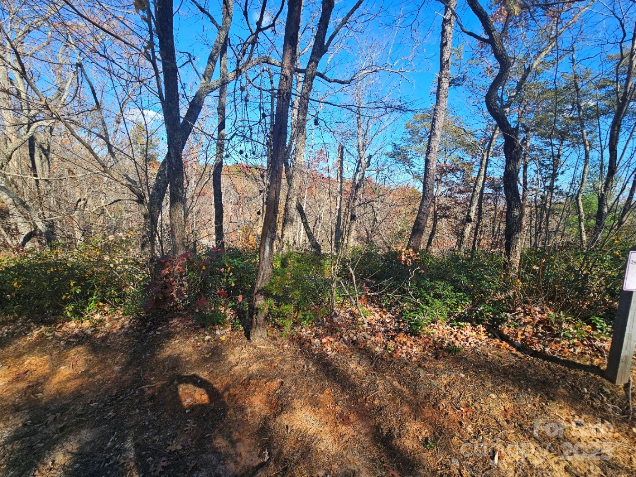 0 Lure Ridge Drive Lake Lure NC 28746