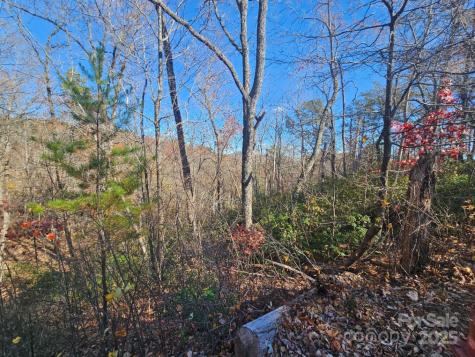 0 Lure Ridge Drive Lake Lure NC 28746