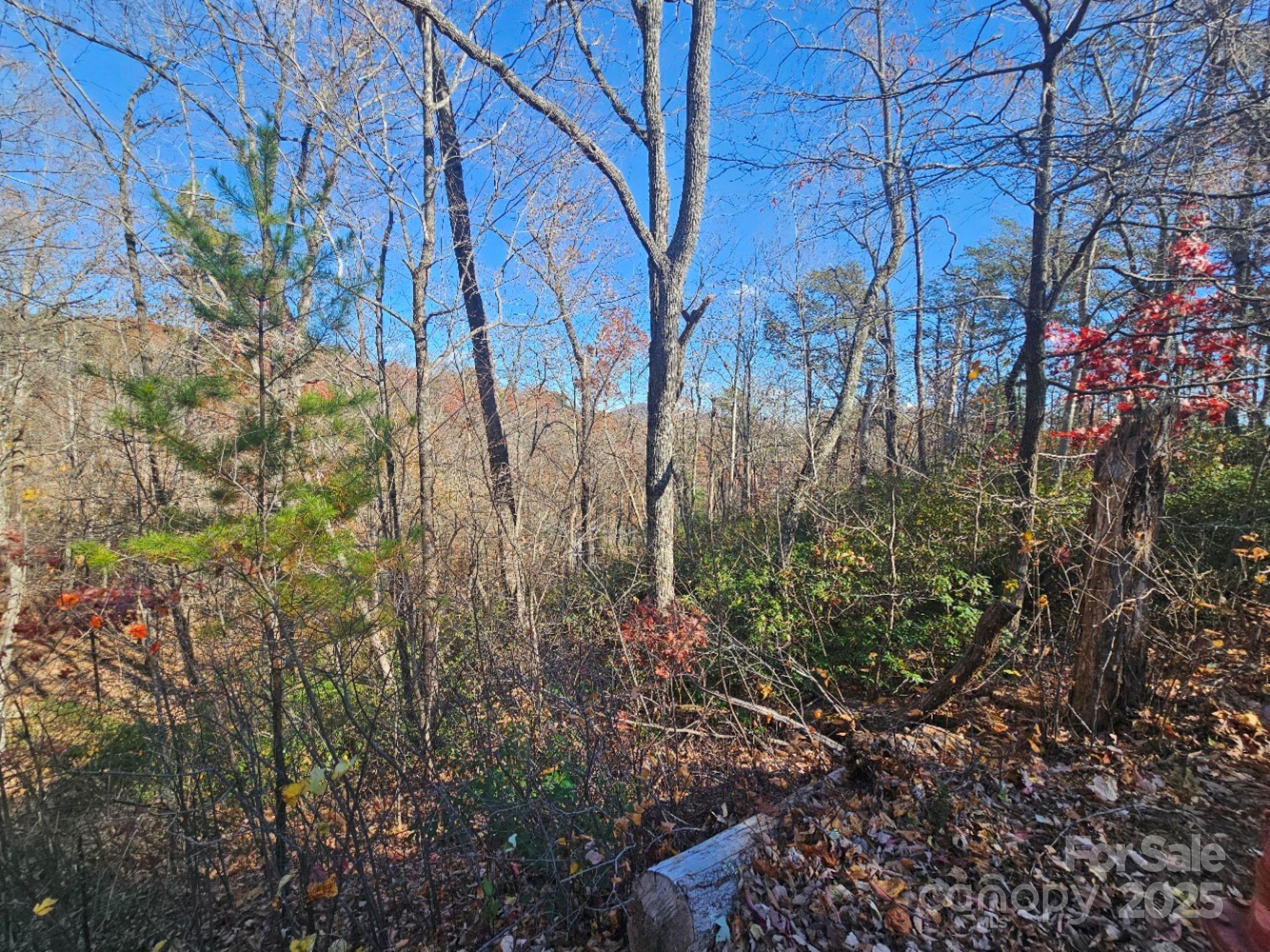 0 Lure Ridge Drive Lake Lure NC 28746