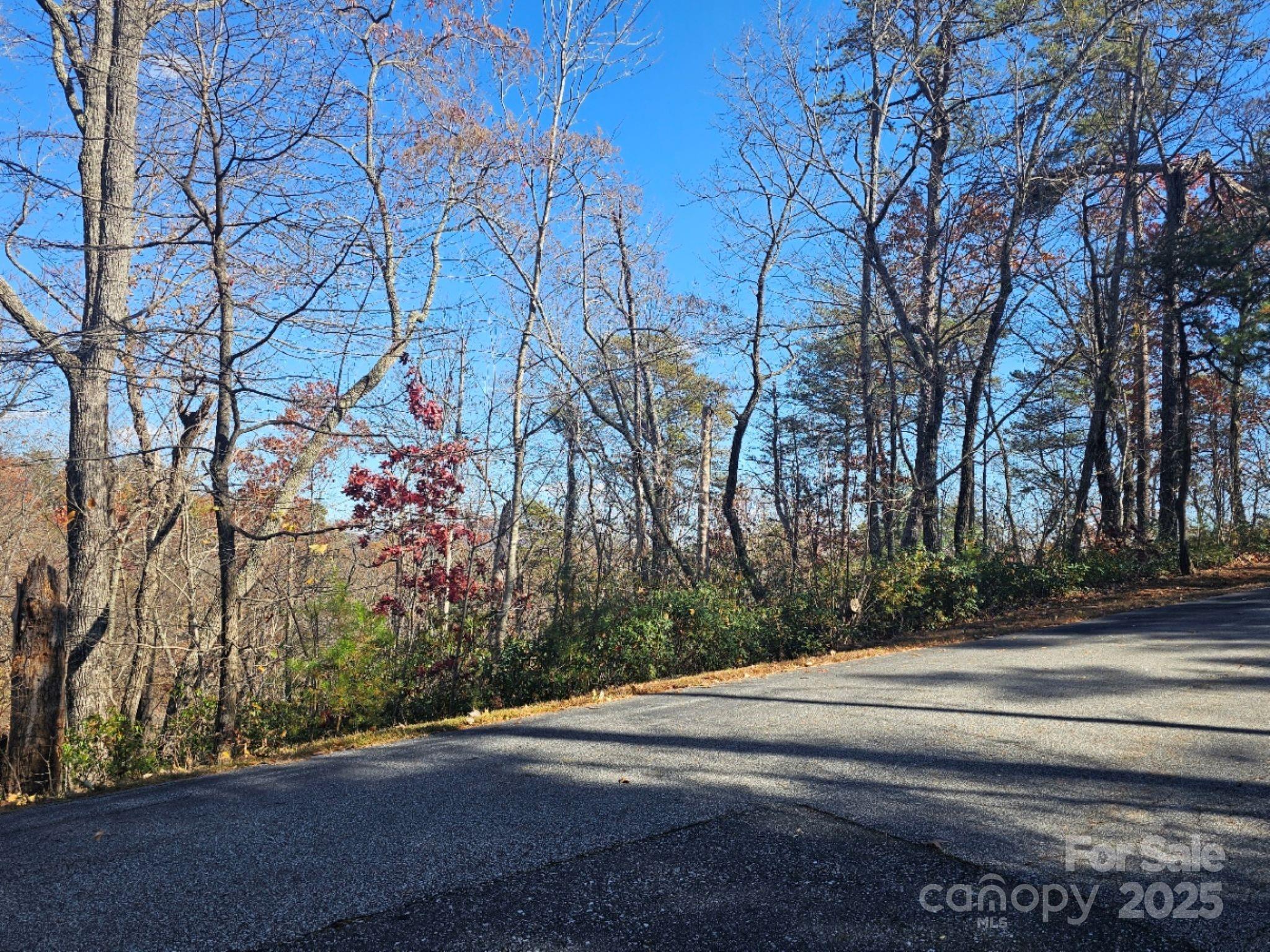 0 Lure Ridge Drive Lake Lure NC 28746