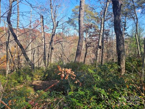 0 Lure Ridge Drive Lake Lure NC 28746