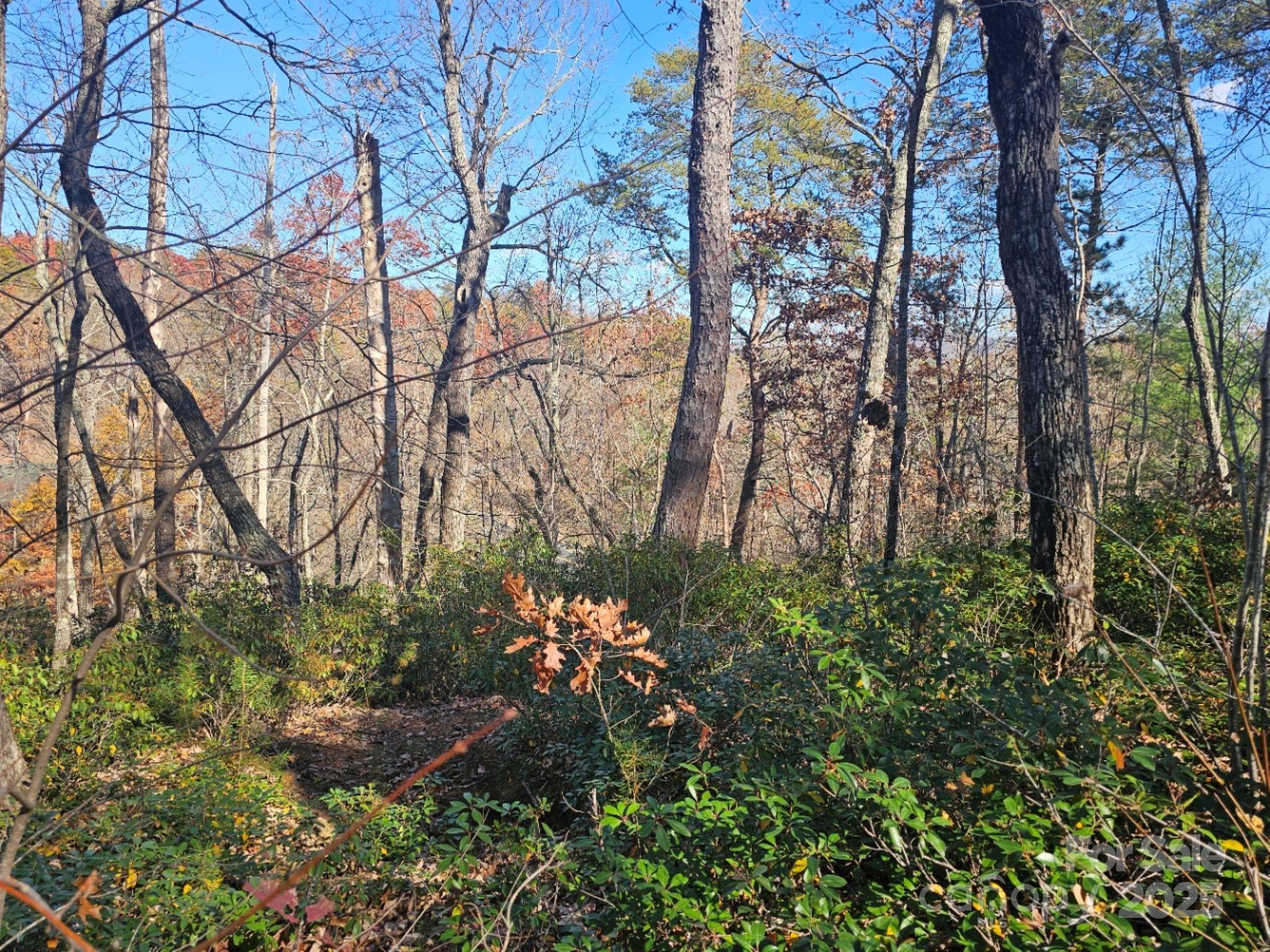 0 Lure Ridge Drive Lake Lure NC 28746