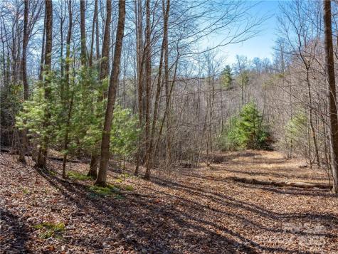 Tbd Long Branch Road Swannanoa NC 28778