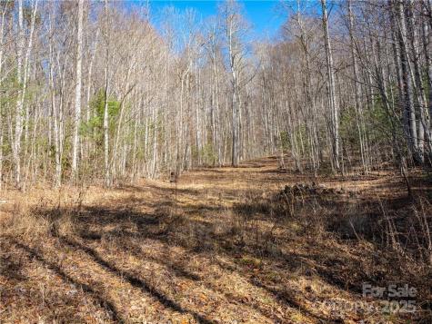 Tbd Long Branch Road Swannanoa NC 28778