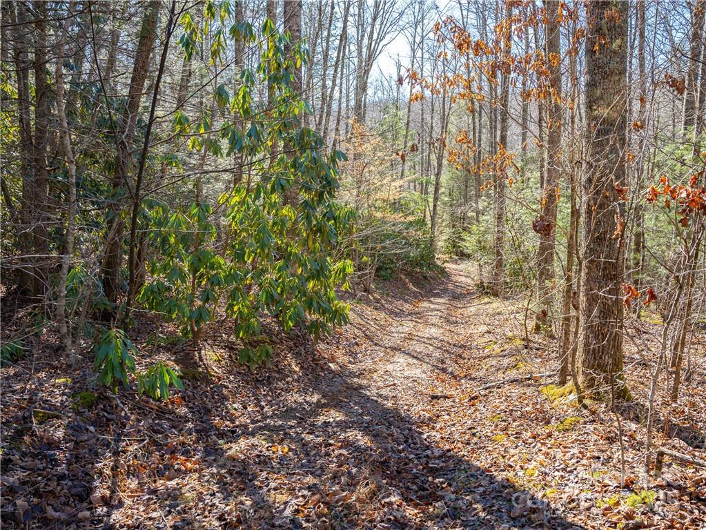 Tbd Long Branch Road Swannanoa NC 28778
