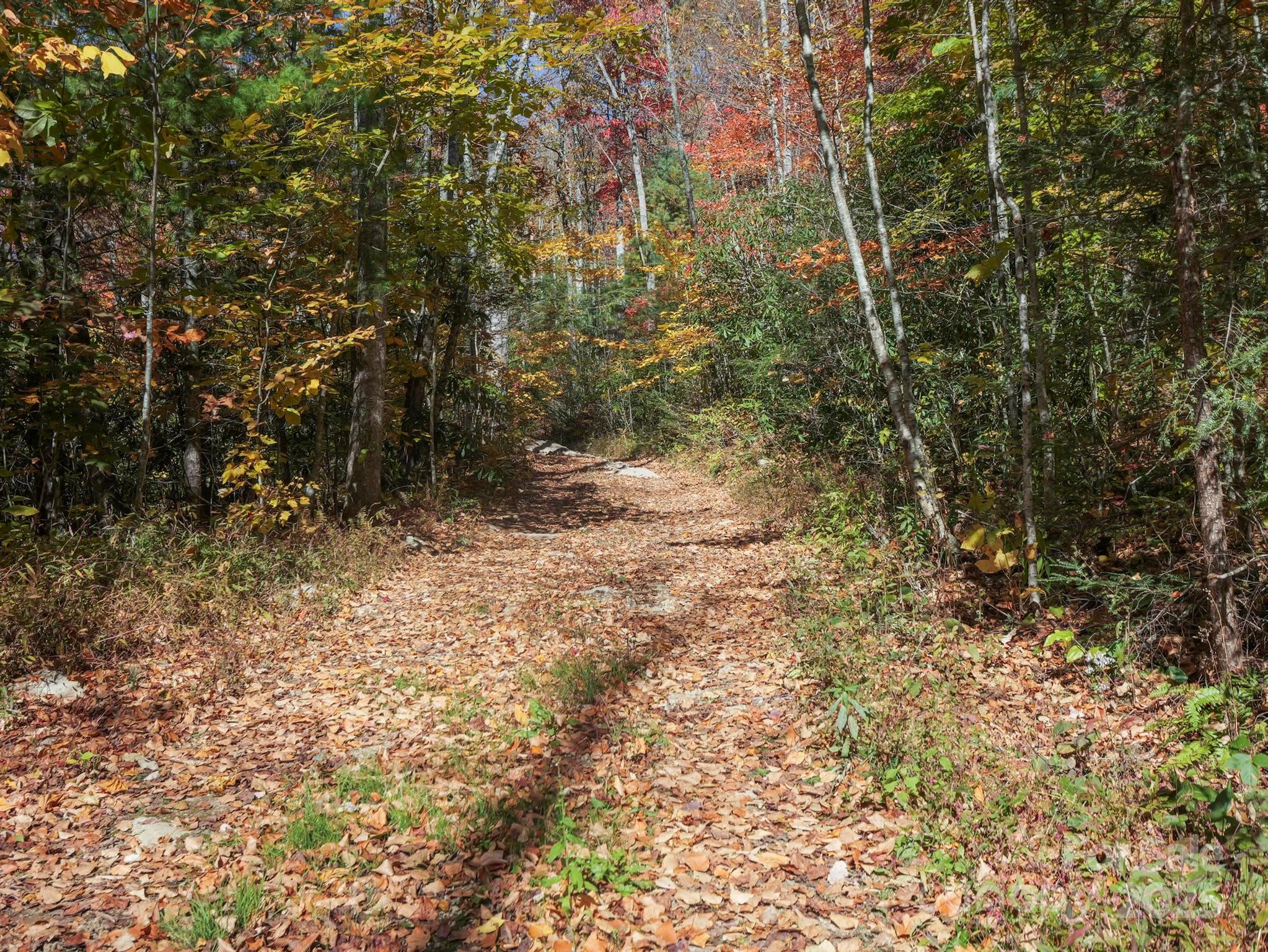 Tbd Long Branch Road Swannanoa NC 28778