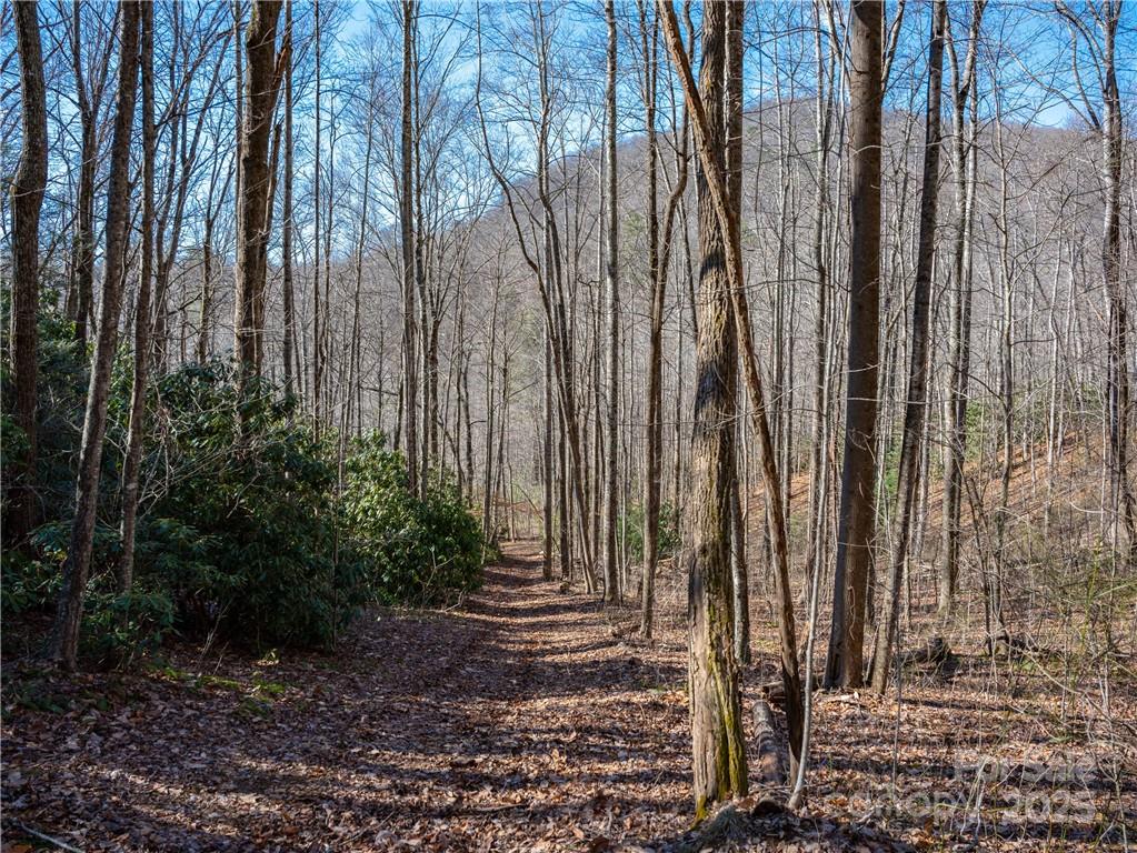 Tbd Long Branch Road Swannanoa NC 28778