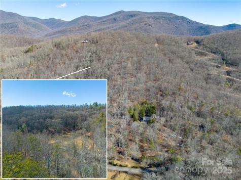 Tbd Long Branch Road Swannanoa NC 28778