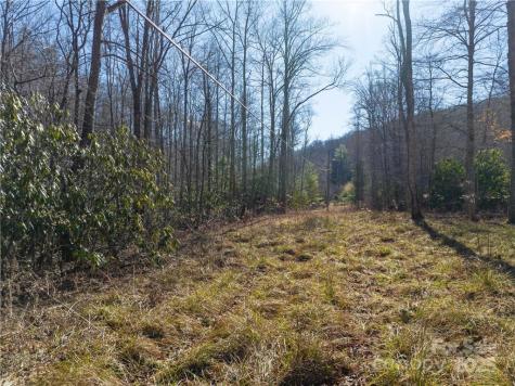 Tbd Long Branch Road Swannanoa NC 28778