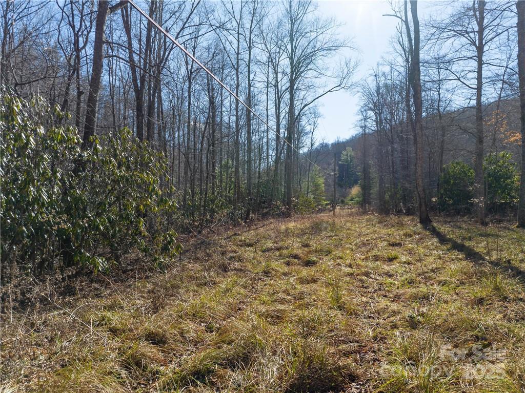 Tbd Long Branch Road Swannanoa NC 28778