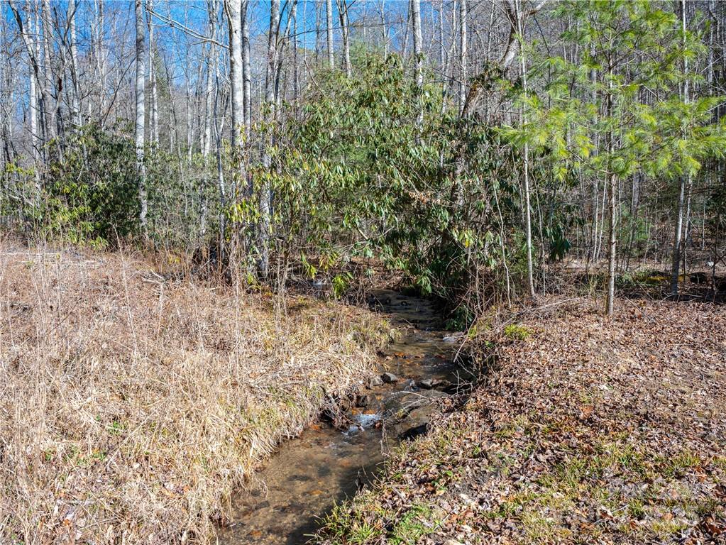 Tbd Long Branch Road Swannanoa NC 28778