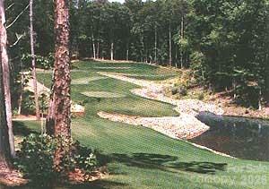 000 Shagbark Court Mount Gilead NC 27306