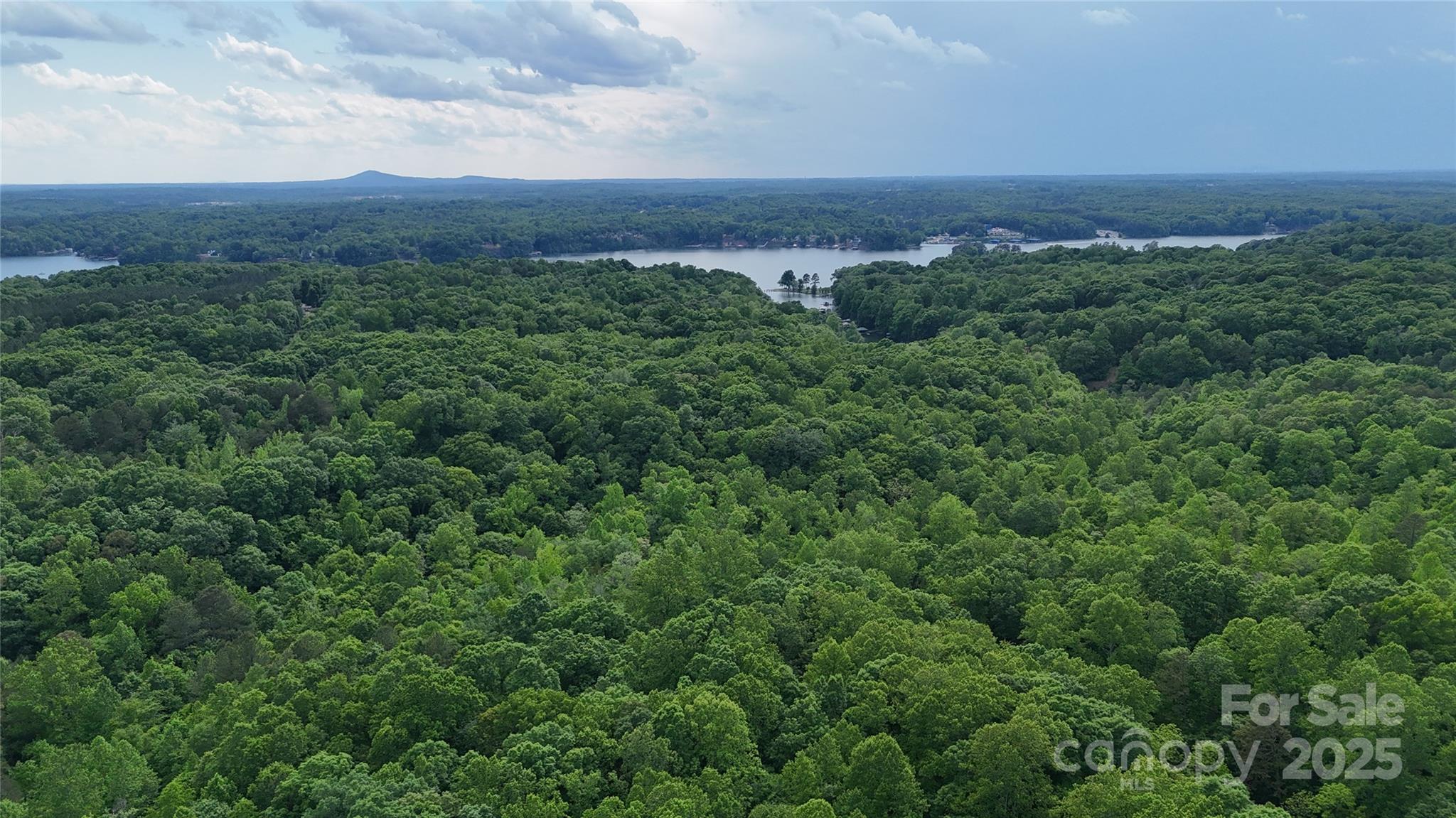 0000 Spring Shore Road Statesville NC 28677