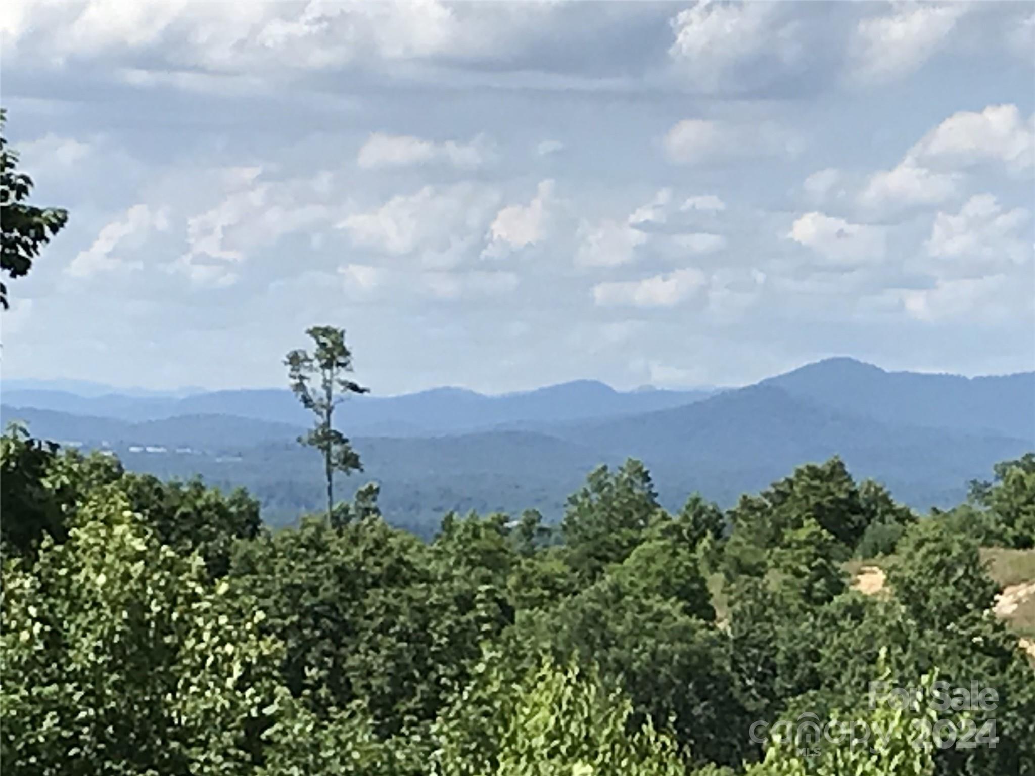 99999 Bay Laurel Lane Hendersonville NC 28791