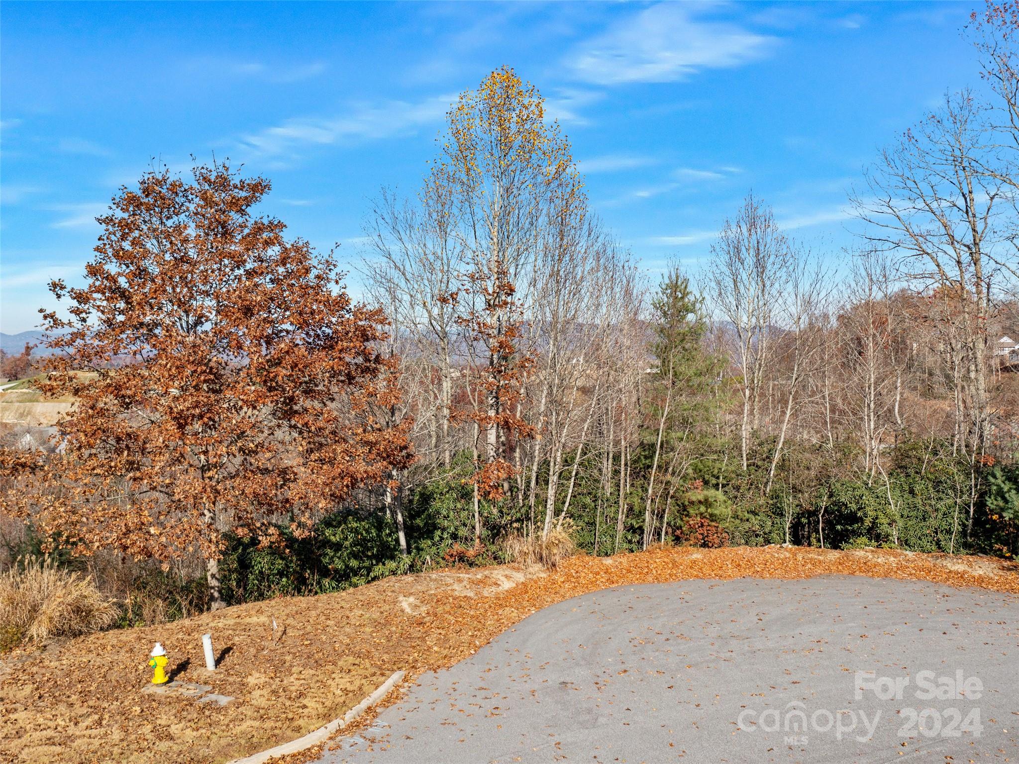 99999 Bay Laurel Lane Hendersonville NC 28791