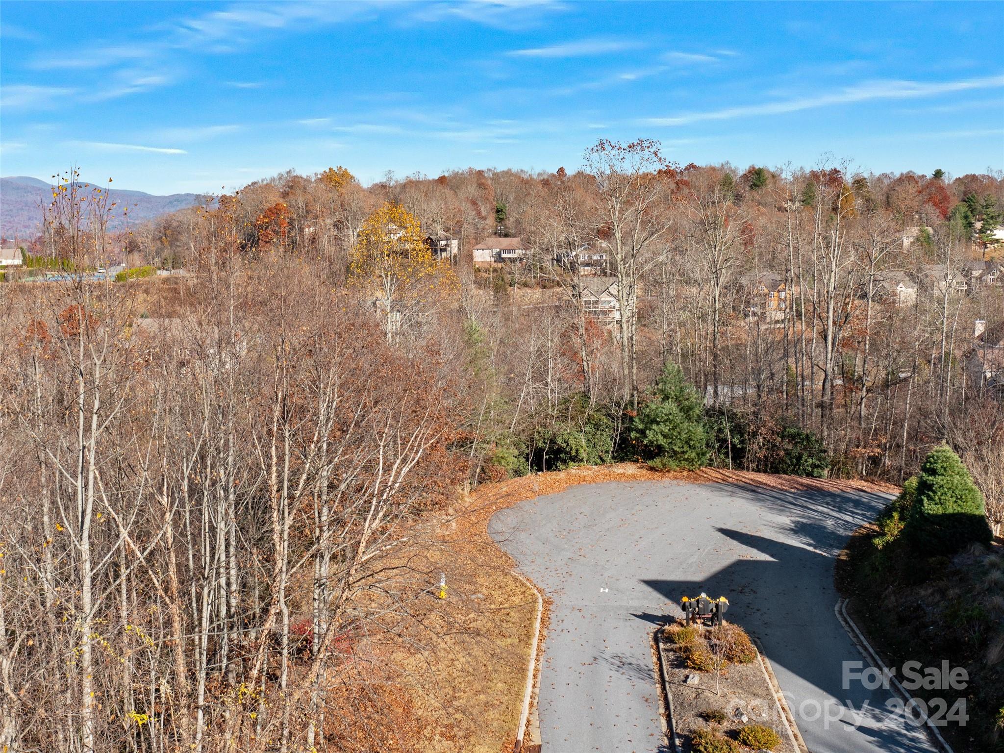 99999 Bay Laurel Lane Hendersonville NC 28791