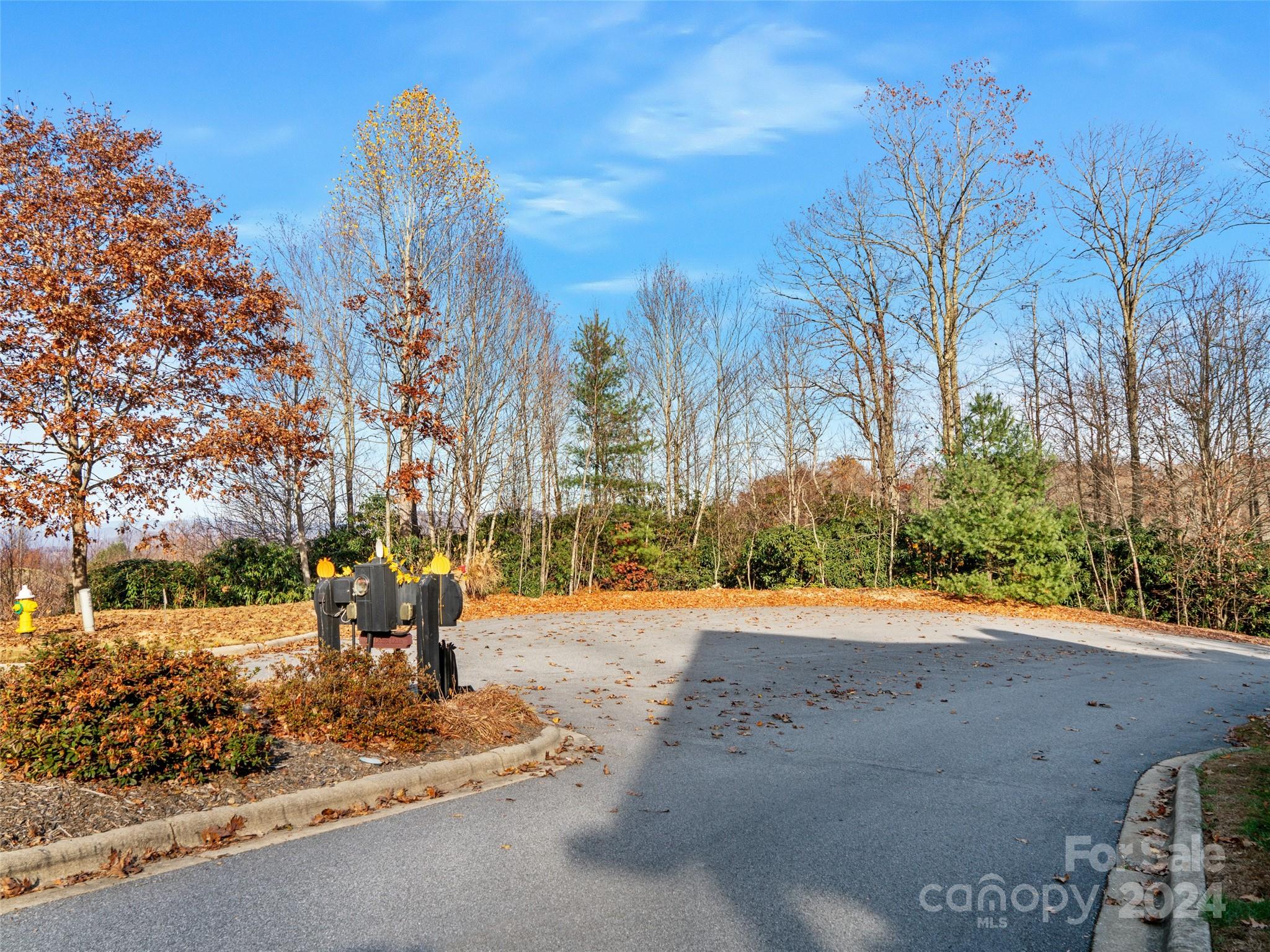 99999 Bay Laurel Lane Hendersonville NC 28791