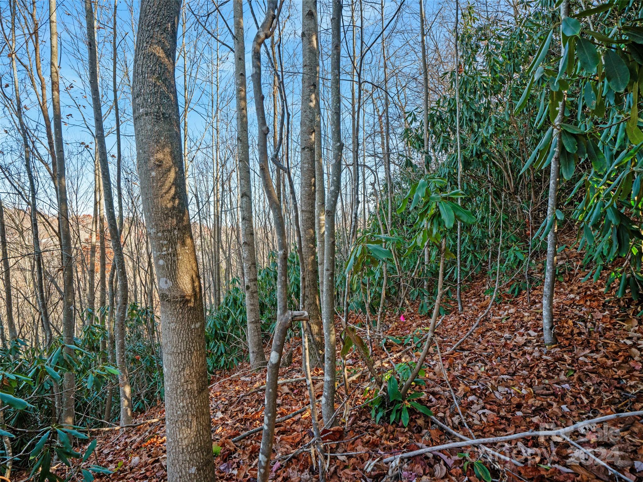 99999 Bay Laurel Lane Hendersonville NC 28791