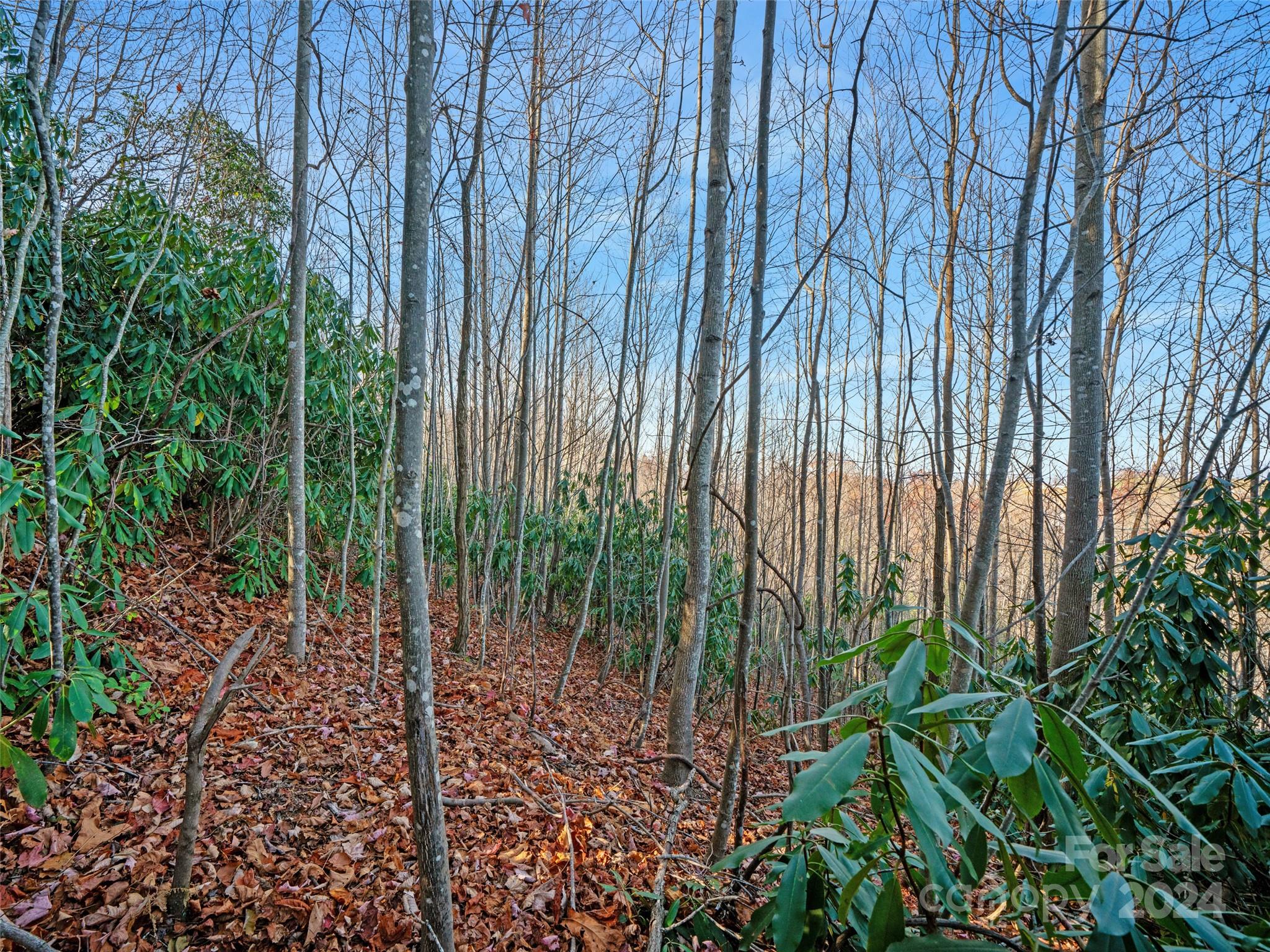 99999 Bay Laurel Lane Hendersonville NC 28791