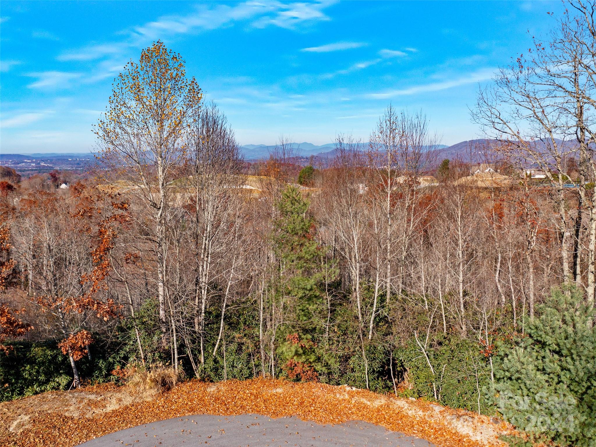 99999 Bay Laurel Lane Hendersonville NC 28791