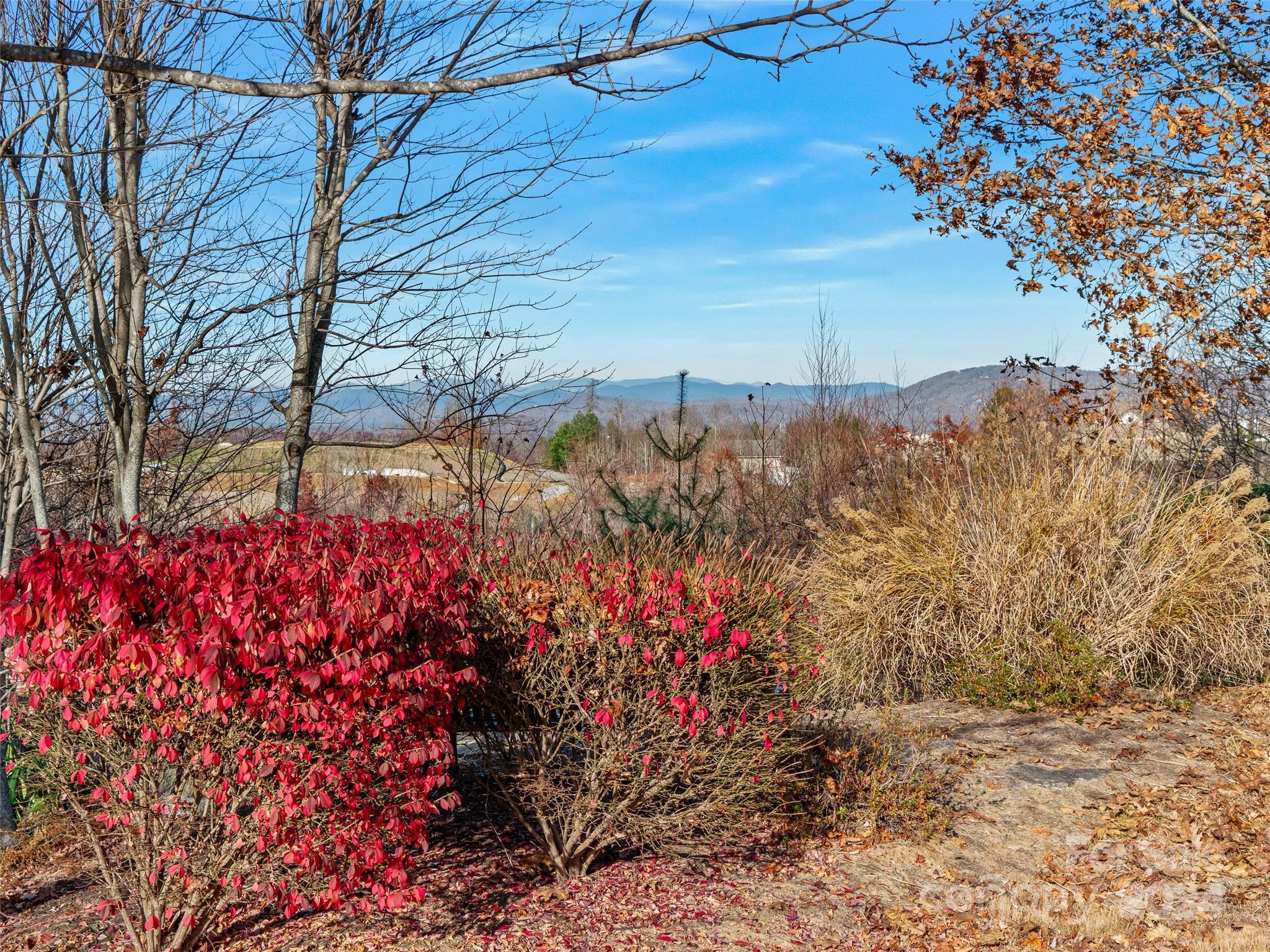 99999 Bay Laurel Lane Hendersonville NC 28791