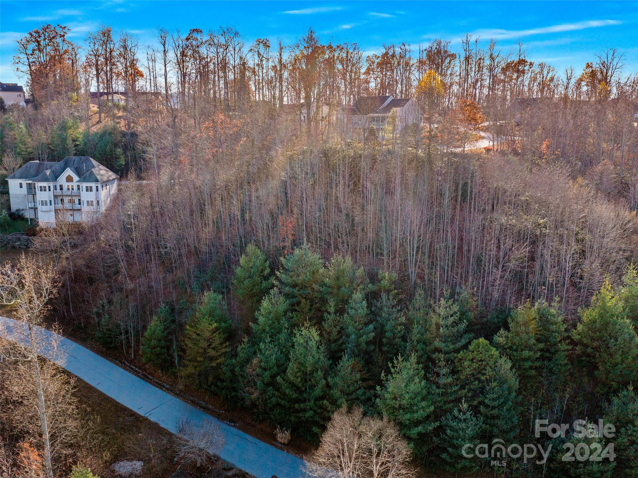 99999 Bay Laurel Lane Hendersonville NC 28791