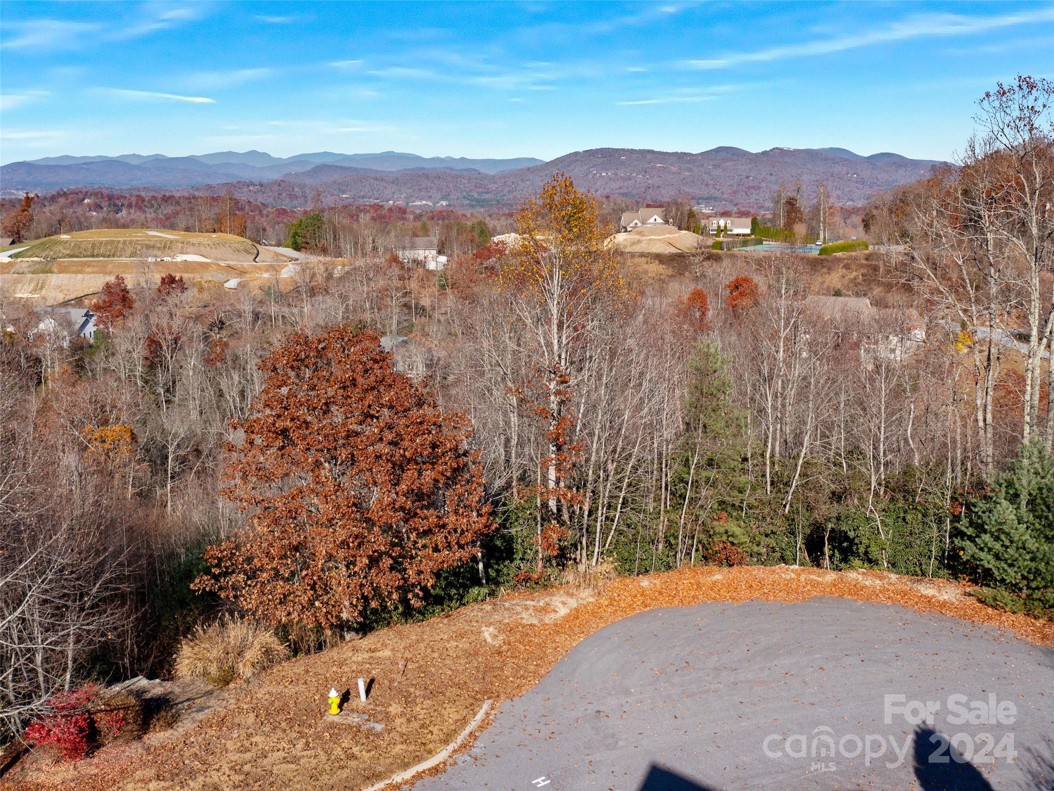 99999 Bay Laurel Lane Hendersonville NC 28791