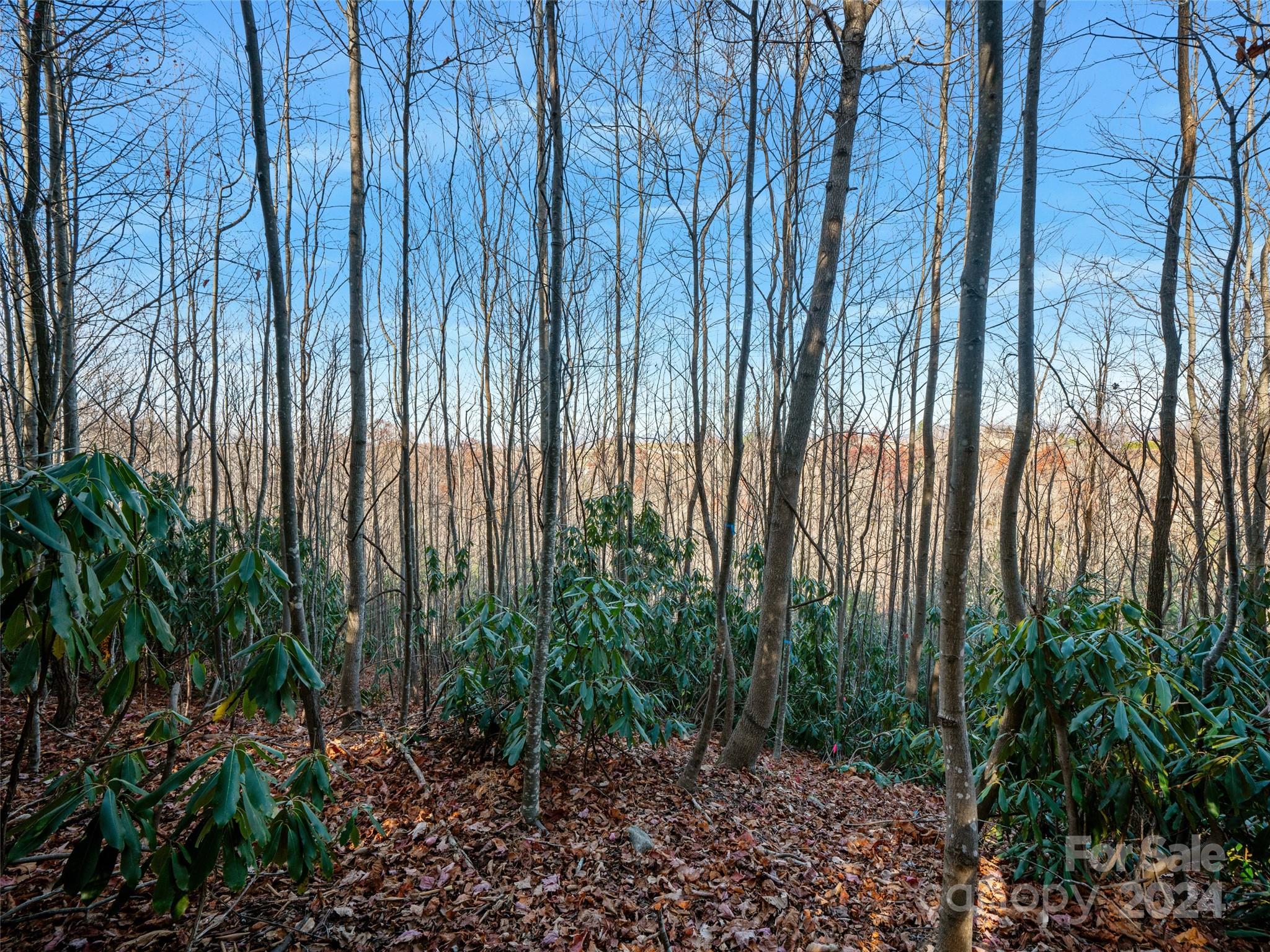 99999 Bay Laurel Lane Hendersonville NC 28791