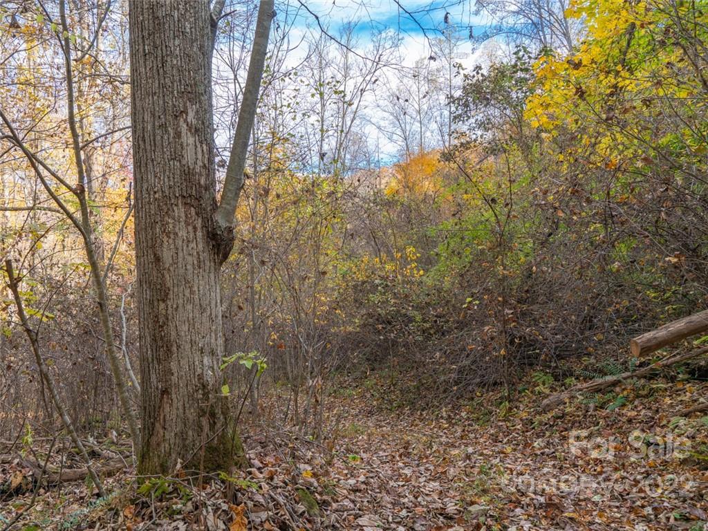 000 Drake Cove Road Mars Hill NC 28754