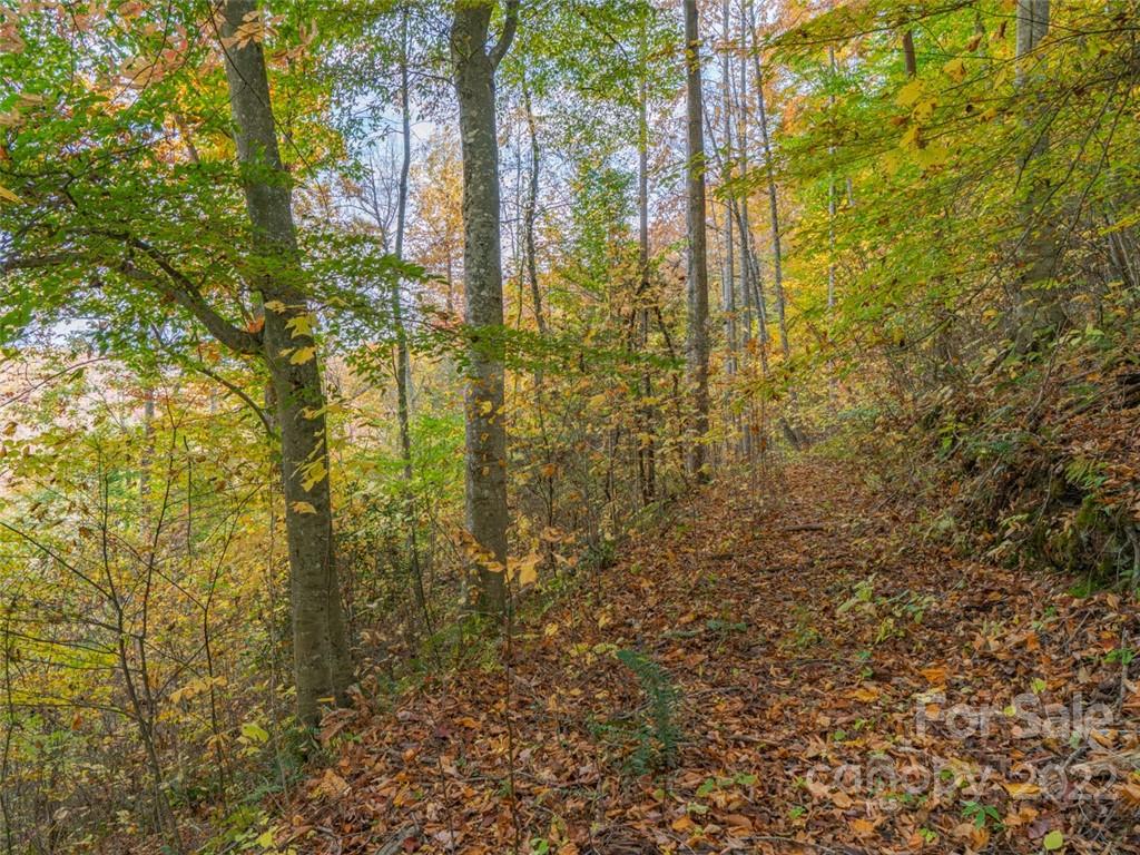000 Drake Cove Road Mars Hill NC 28754