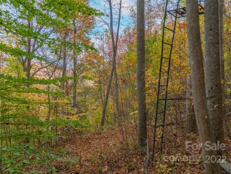 000 Drake Cove Road Mars Hill NC 28754