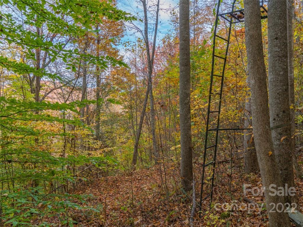000 Drake Cove Road Mars Hill NC 28754