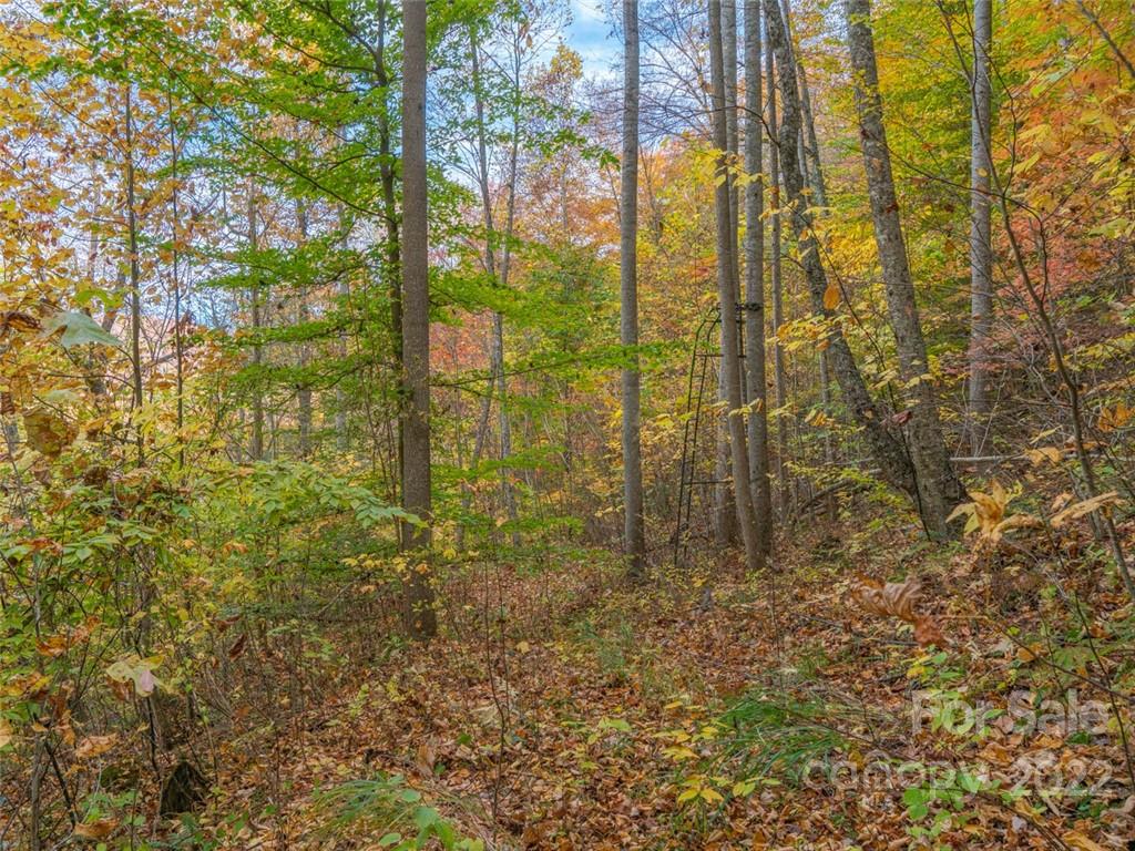 000 Drake Cove Road Mars Hill NC 28754