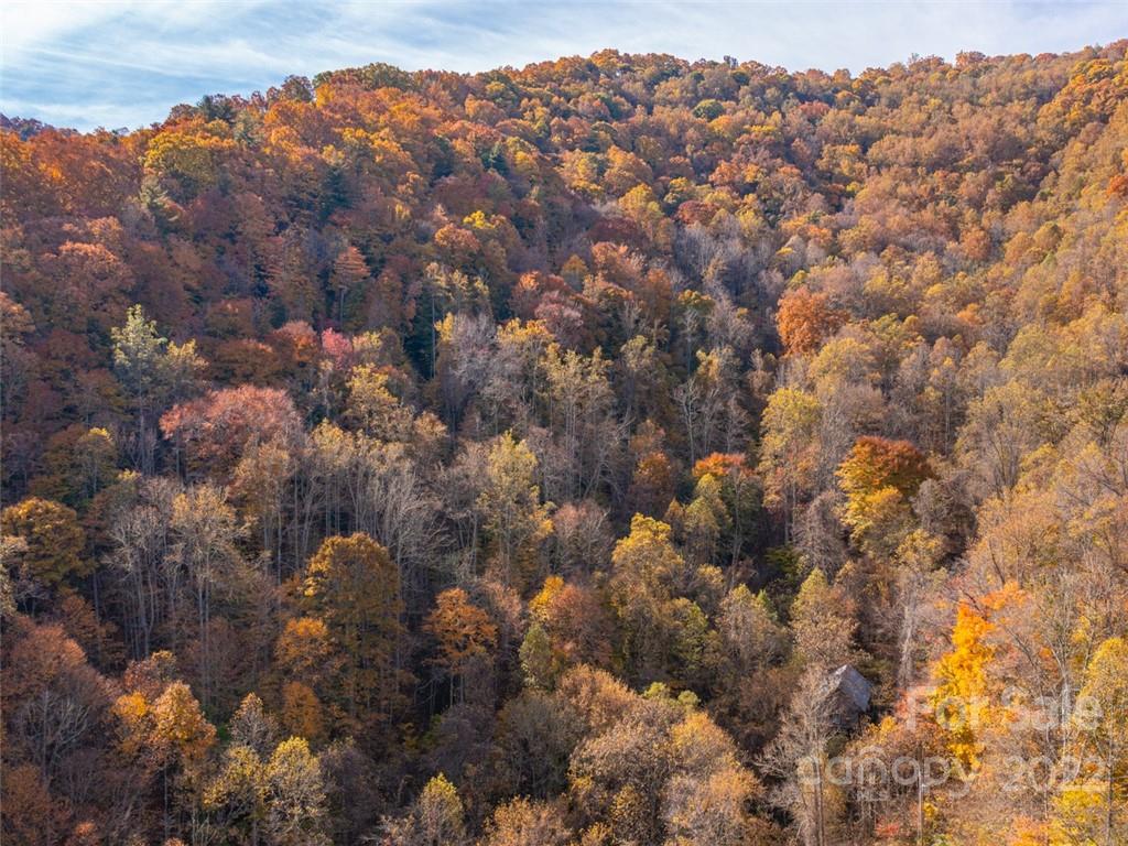 000 Drake Cove Road Mars Hill NC 28754
