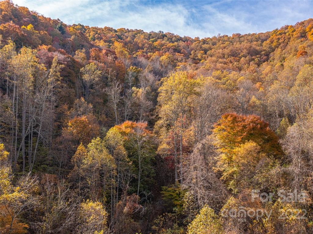 000 Drake Cove Road Mars Hill NC 28754
