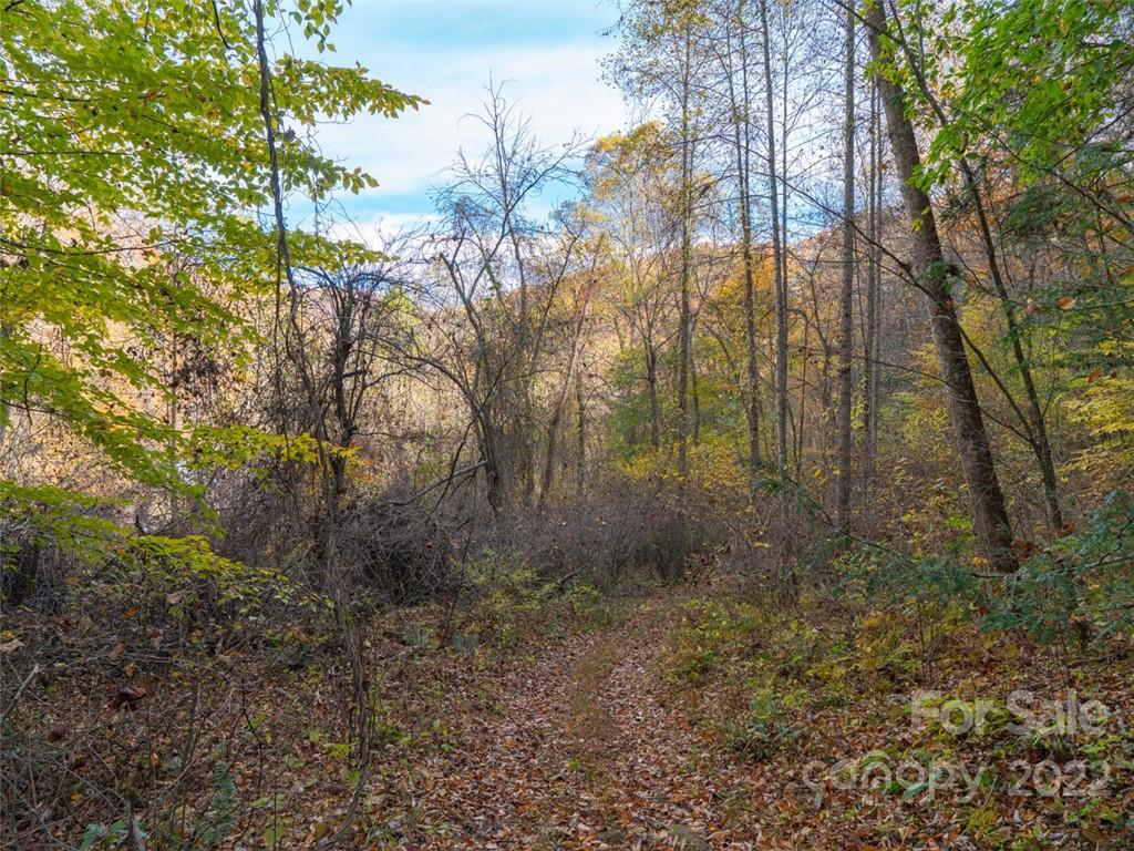 000 Drake Cove Road Mars Hill NC 28754